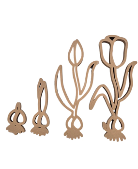 Grennn Uitstekers Cyclus Tulp