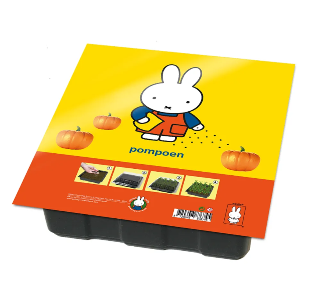 Nijntje Kweekset Pompoen Nijntje Kweekset Pompoen