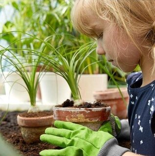 Tuinieren met kinderen