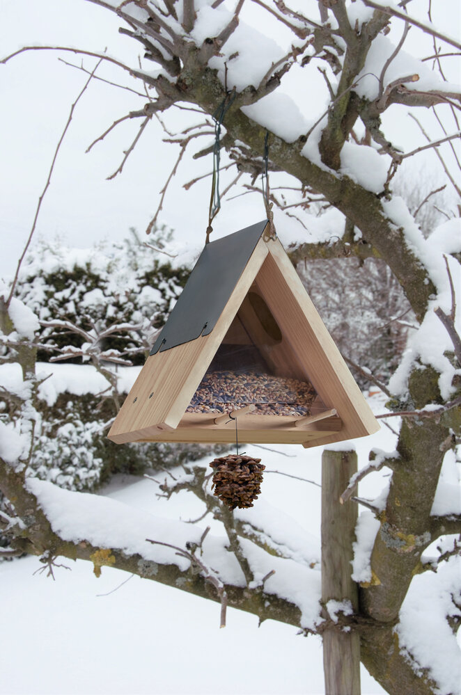 HABA Terra Kids Bouwpakket Voederhuisje HABA Terra Kids Bouwpakket Voederhuisje