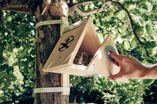 HABA Terra Kids Bouwpakket Nestkastje HABA Terra Kids Bouwpakket Nestkastje