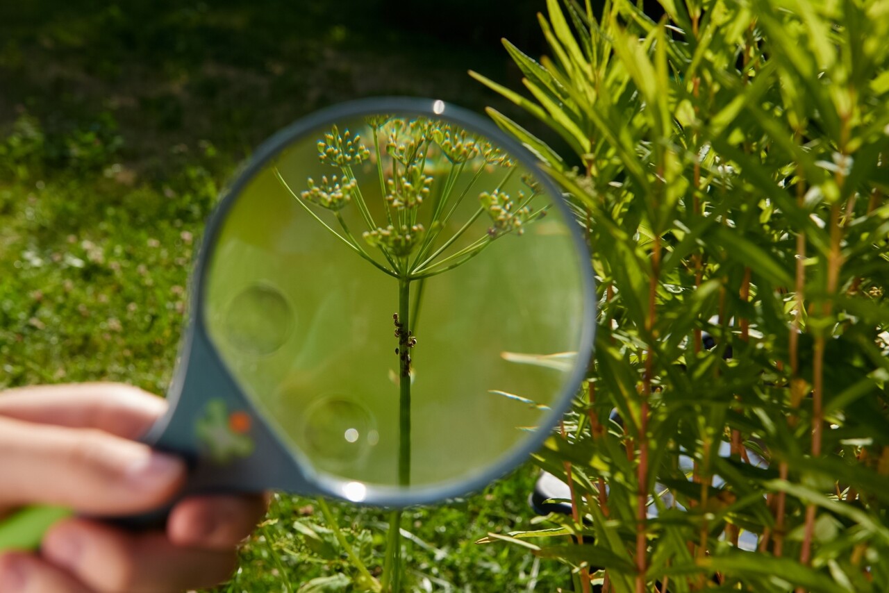 HABA Terra Kids Kinderloep HABA Terra Kids Kinderloep