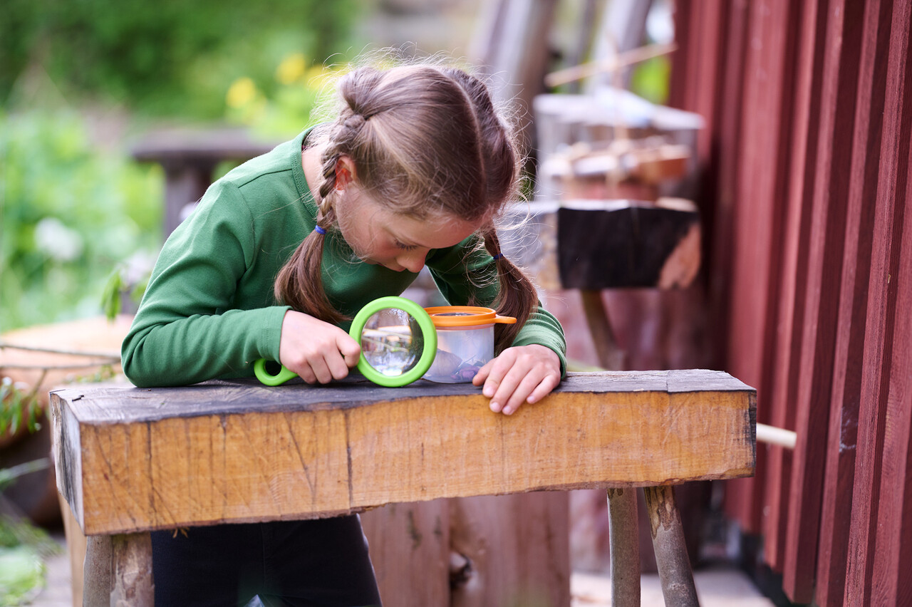 HABA Terra Kids Bekerloep 3 in 1 HABA Terra Kids Bekerloep 3 in 1