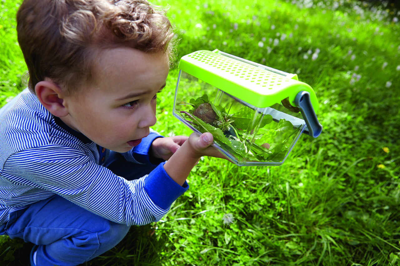 HABA Terra Kids Insectendoos HABA Terra Kids Insectendoos