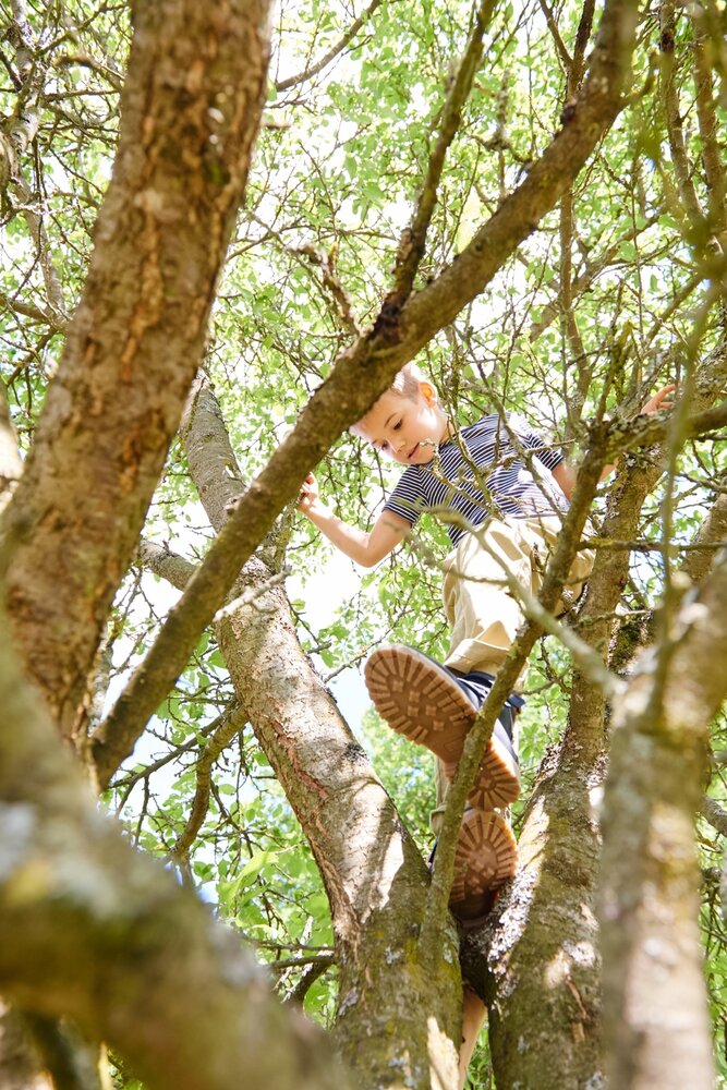 HABA Terra Kids Katapultvliegtuig HABA Terra Kids Katapultvliegtuig