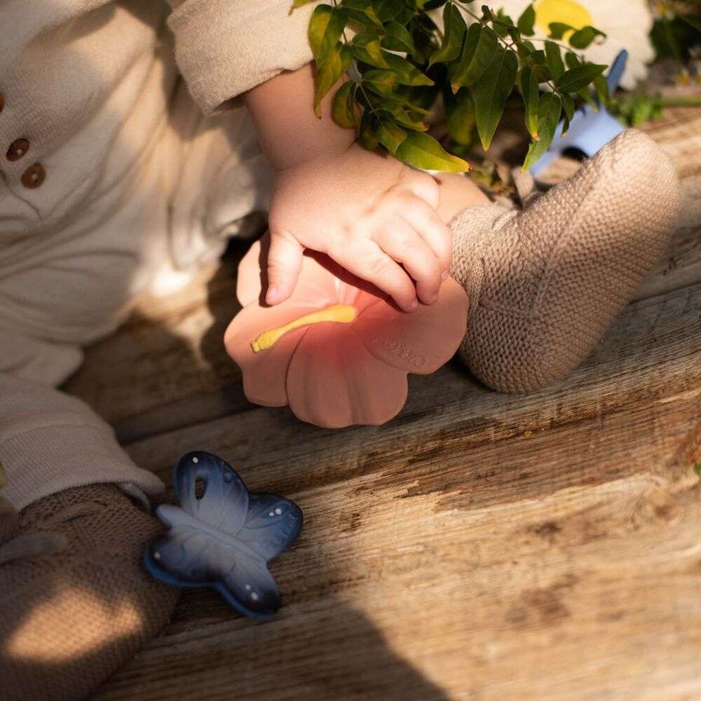 Oli & Carol Bijtspeeltje Iris the Hibiscus Oli & Carol Bijtspeeltje Iris the Hibiscus