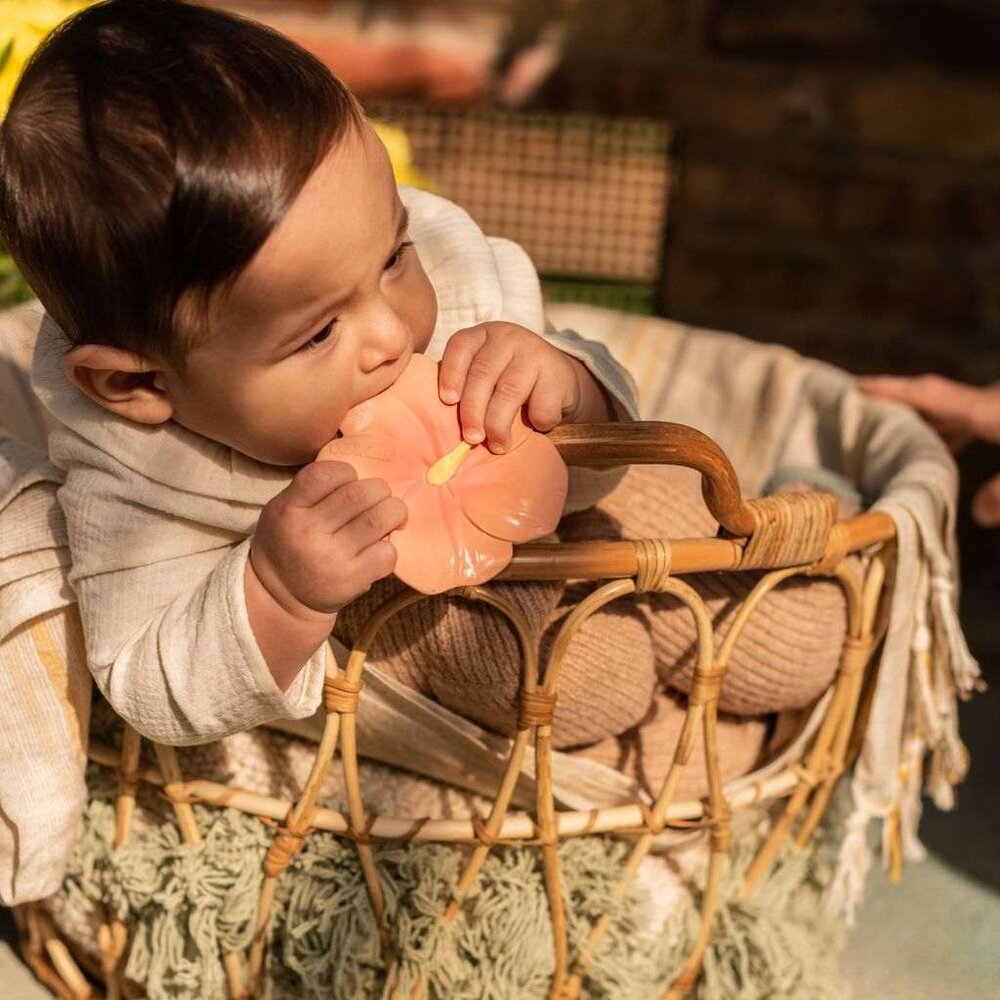 Oli & Carol Bijtspeeltje Iris the Hibiscus Oli & Carol Bijtspeeltje Iris the Hibiscus