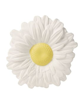 Oli & Carol Bijtspeeltje Margarita the Daisy