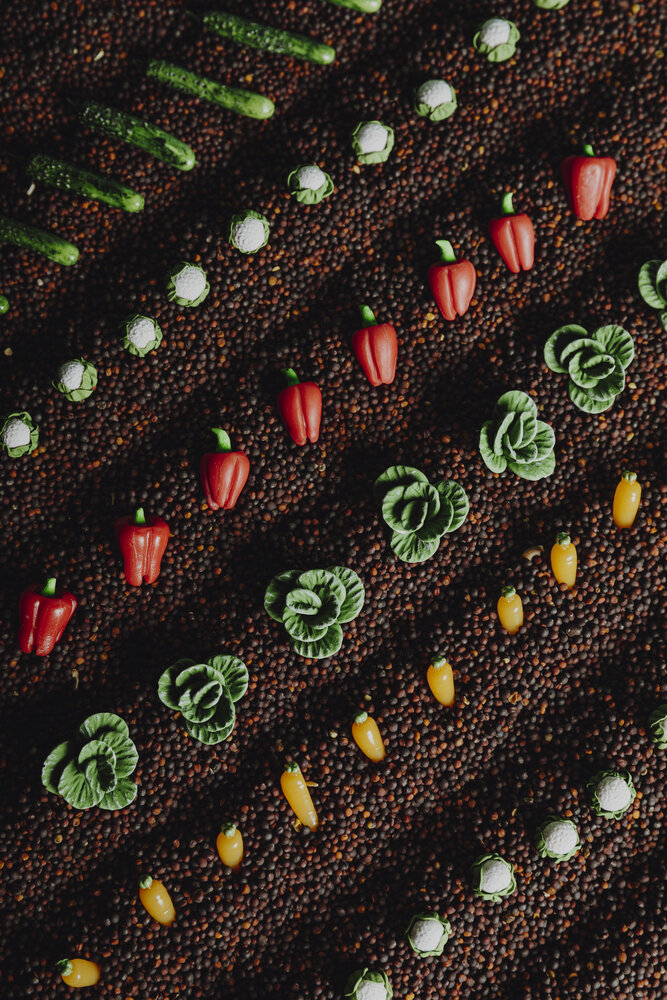 Petit Boum Sensorische Bottle Groente Petit Boum Sensorische Bottle Groente