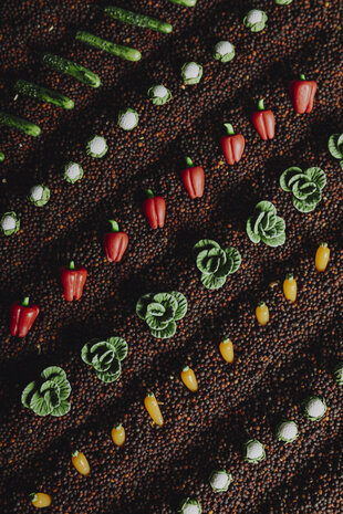 Petit Boum Sensorische Bottle Groente Petit Boum Sensorische Bottle Groente