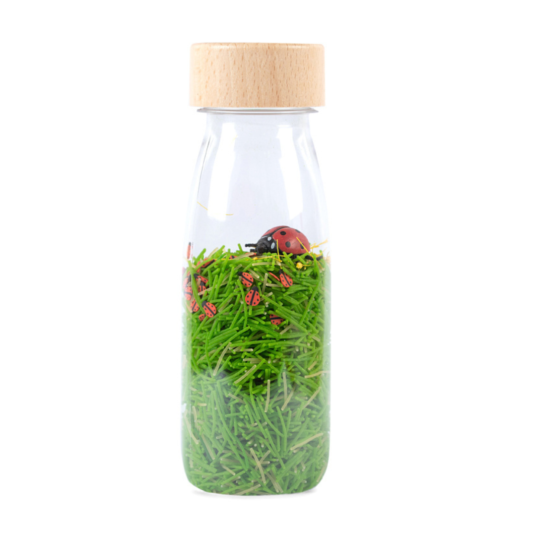 Sound Bottle Lieveheersbeestje afbeelding