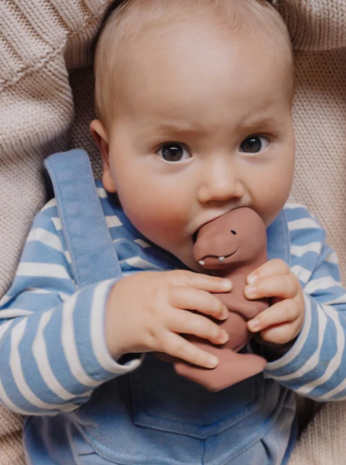 Tikiri Mijn eerste dinosaurus - Mix Tikiri Mijn eerste dinosaurus - Mix