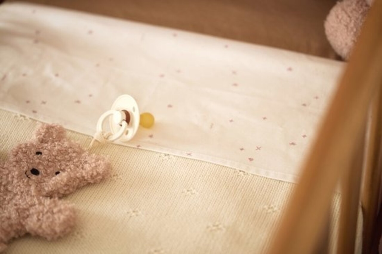 Jollein Speendoekje Teddy Bear Wild Rose Jollein Speendoekje Teddy Bear Wild Rose