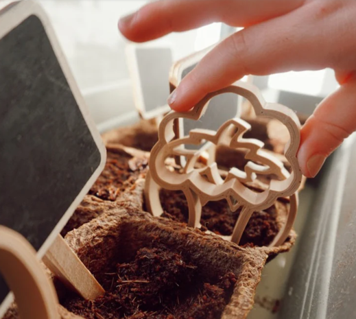 Grennn Uitstekers Groente Grennn Uitstekers Groente