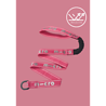 Micro Step Elastische riem Pull & Carry Roze Micro Step Elastische riem Pull & Carry Roze