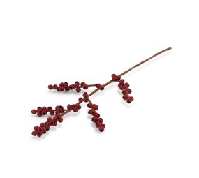 Sjaal met Verhaal Decoratie Bloem Tak Bes Rood Sjaal met Verhaal Decoratie Bloem Tak Bes Rood