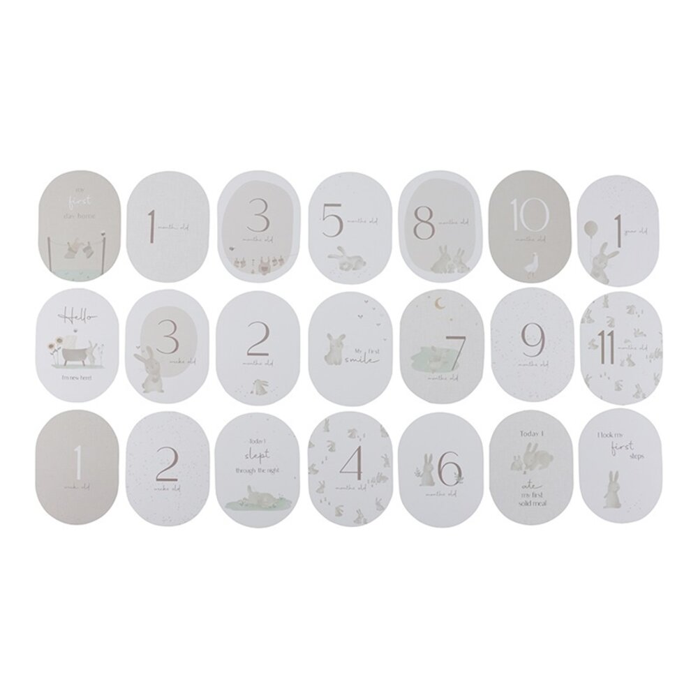 Little Dutch Mijlpaal kaarten Mijn eerste jaar Baby Bunny Little Dutch Mijlpaal kaarten Mijn eerste jaar Baby Bunny