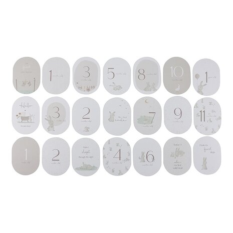 Little Dutch Mijlpaal kaarten Mijn eerste jaar Baby Bunny Little Dutch Mijlpaal kaarten Mijn eerste jaar Baby Bunny