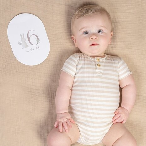 Little Dutch Mijlpaal kaarten Mijn eerste jaar Baby Bunny Little Dutch Mijlpaal kaarten Mijn eerste jaar Baby Bunny