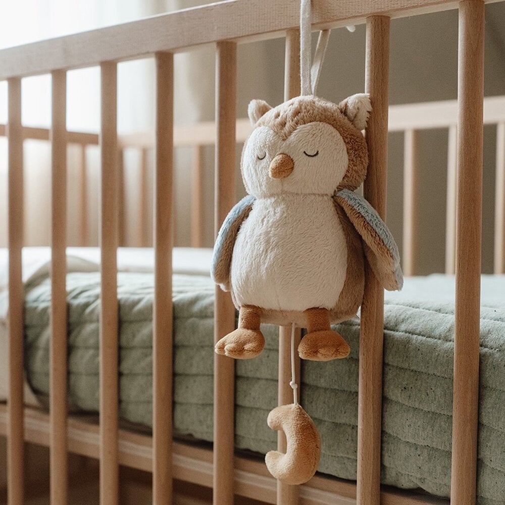 Little Dutch Muziekknuffel Uil - Forest Friends Little Dutch Muziekknuffel Uil - Forest Friends