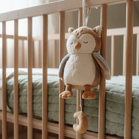 Little Dutch Muziekknuffel Uil - Forest Friends Little Dutch Muziekknuffel Uil - Forest Friends