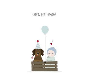 Mevrouw Emmer Wenskaart Hoera, een jongen! 2 Mevrouw Emmer Wenskaart Hoera, een jongen! 2
