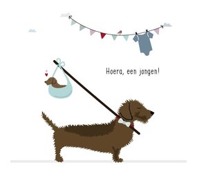 Mevrouw Emmer Wenskaart Hoera, een jongen! Mevrouw Emmer Wenskaart Hoera, een jongen!