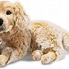 Steiff Knuffel Andor Golden Retriever Steiff Knuffel Andor Golden Retriever