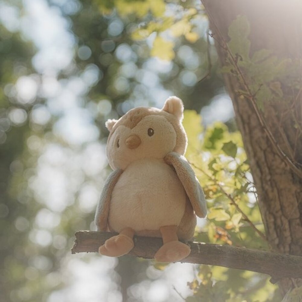 Little Dutch Knuffel Uil - Forest Friends Little Dutch Knuffel Uil - Forest Friends