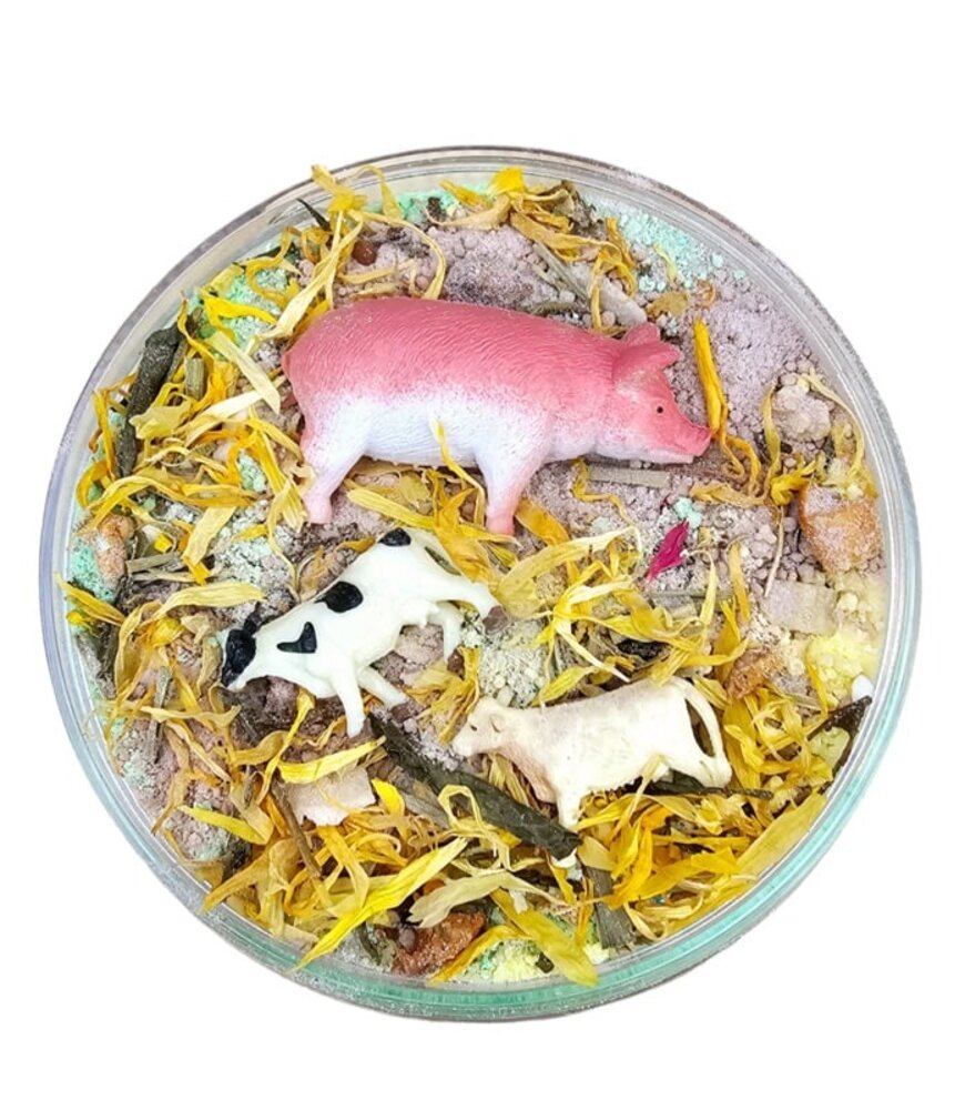 SensoryFun Sensory Fizz Boederij Mega Pot