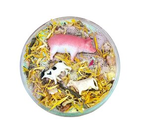 SensoryFun Sensory Fizz Boederij Mega Pot