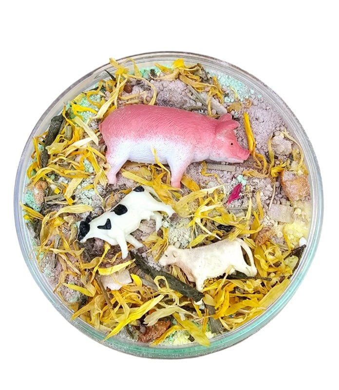 Sensory Fizz Boederij Mega Pot afbeelding