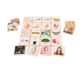 TickiT Houten Levenscyclus TickiT Houten Levenscyclus