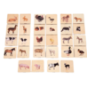 TickiT Houten Memory Huisdieren TickiT Houten Memory Huisdieren