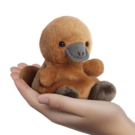 Palm Pals Knuffel Vogelbekdier Palm Pals Knuffel Vogelbekdier