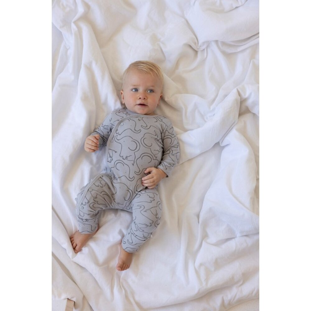 Feetje Babykleding Geschenkset Onesie met Muts Grijs Feetje Babykleding Geschenkset Onesie met Muts Grijs