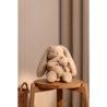 Liewood Knuffel Berto Mommy & Me Rabbit Mist