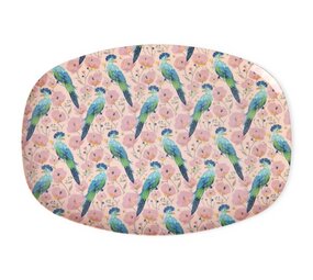 Rice Melamine Bord Exotic Bird Rice Melamine Bord Exotic Bird