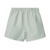 Liewood Zwembroek Short Duke Stripe Peppermint Crisp White