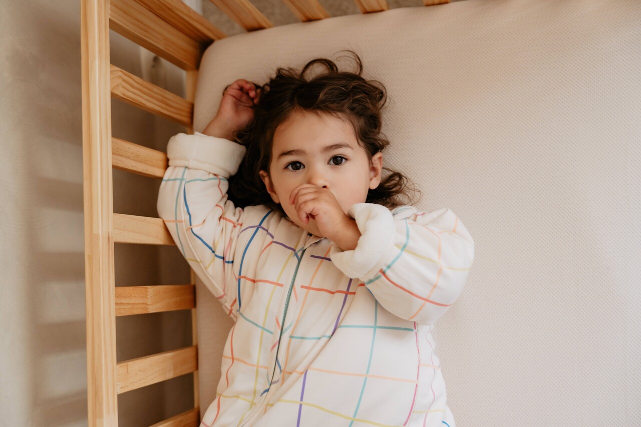 Puckababy Slaapzak Bag 4 Seasons 6M-2,5Y - Funky Lines Puckababy Slaapzak Bag 4 Seasons 6M-2,5Y - Funky Lines