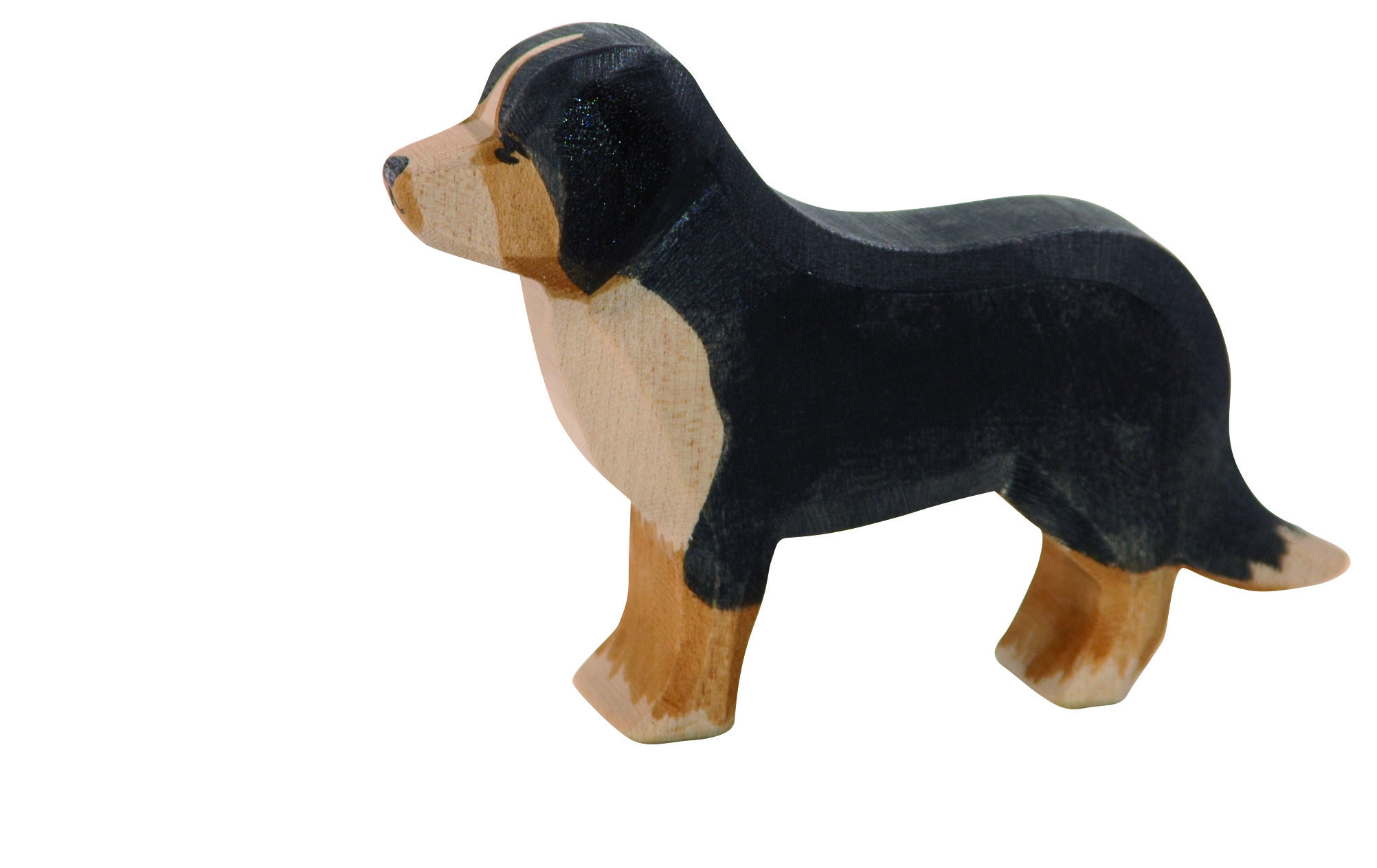 Berner Sennenhond 10521 afbeelding