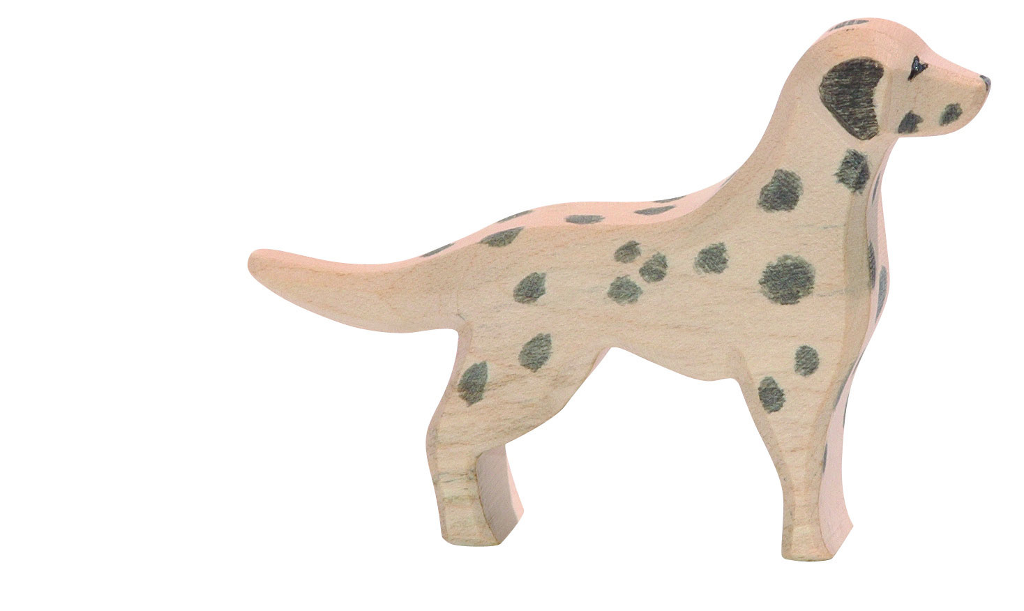 Dalmatiër 10511 afbeelding