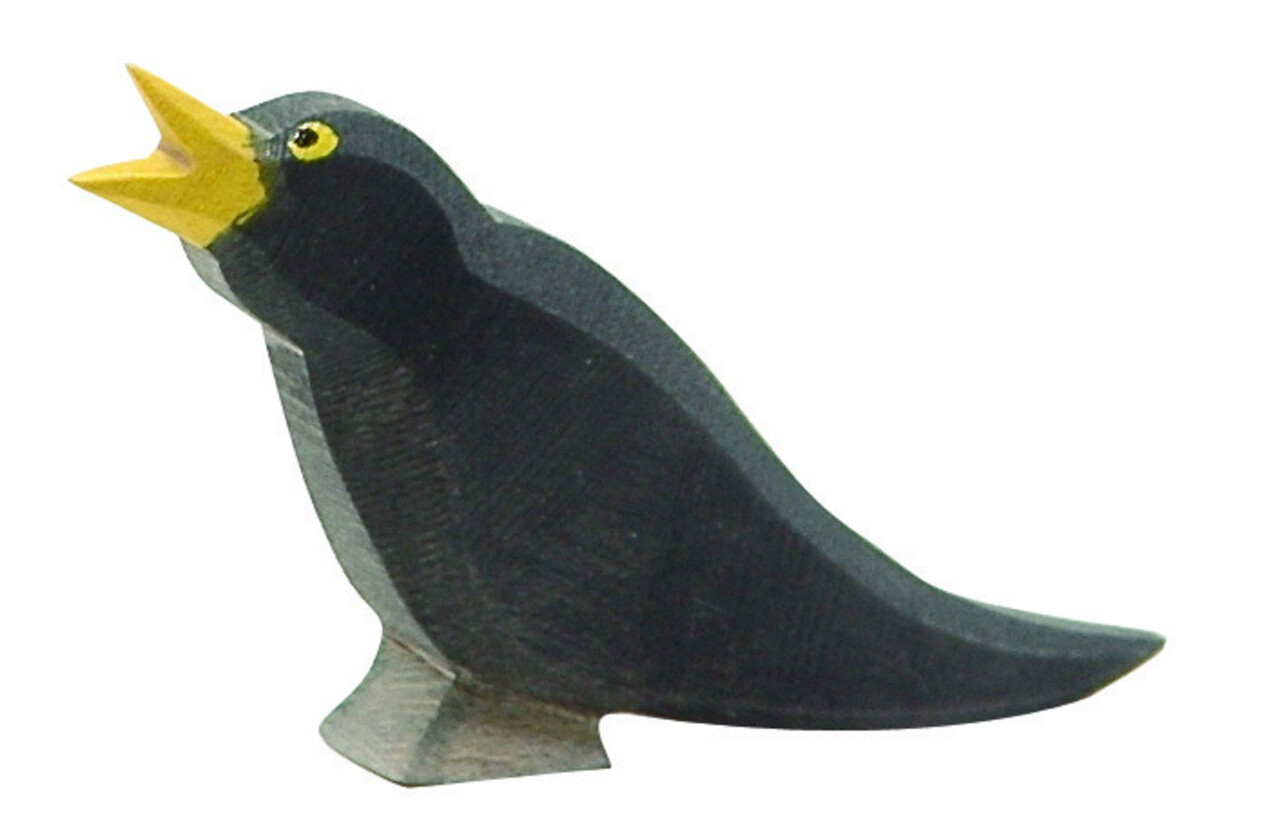 Ostheimer Merel 16801 Ostheimer Merel 16801