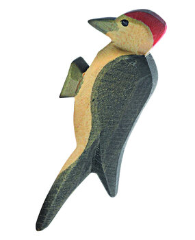 Ostheimer Specht 16810 Ostheimer Specht 16810