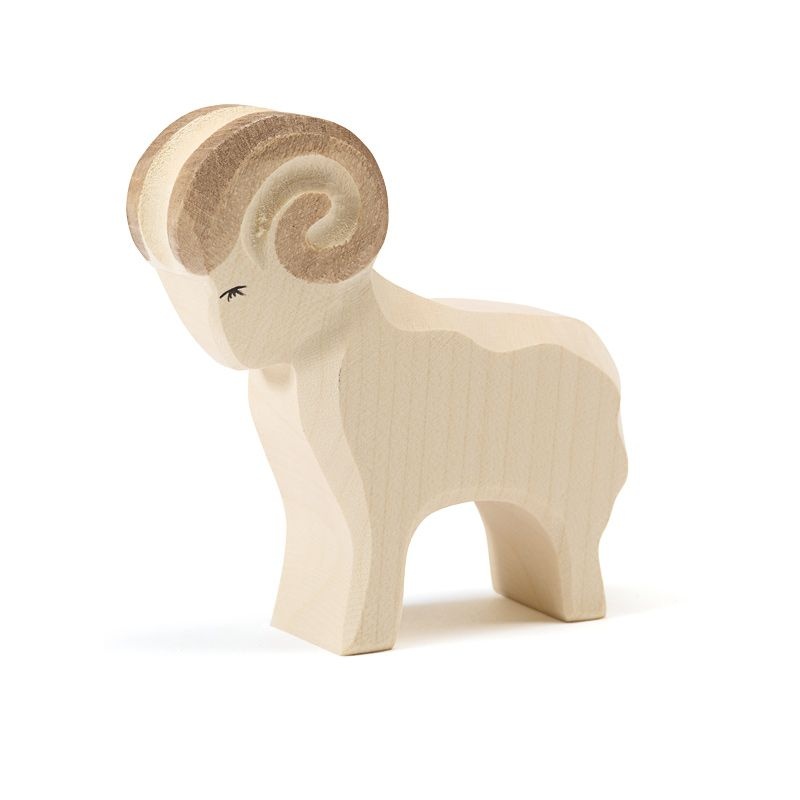 Ram 11601 afbeelding