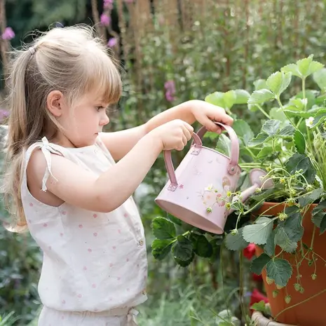 Little Dutch Gieter Fairy Garden