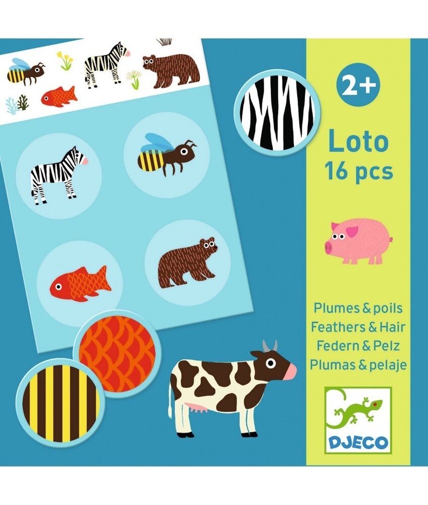 Djeco Lotto Veren en Haar Djeco Lotto Veren en Haar