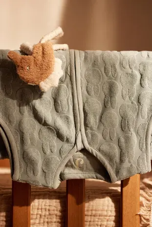 Jollein Slaapzak Jersey Miffy Jacquard Terry Sea Green