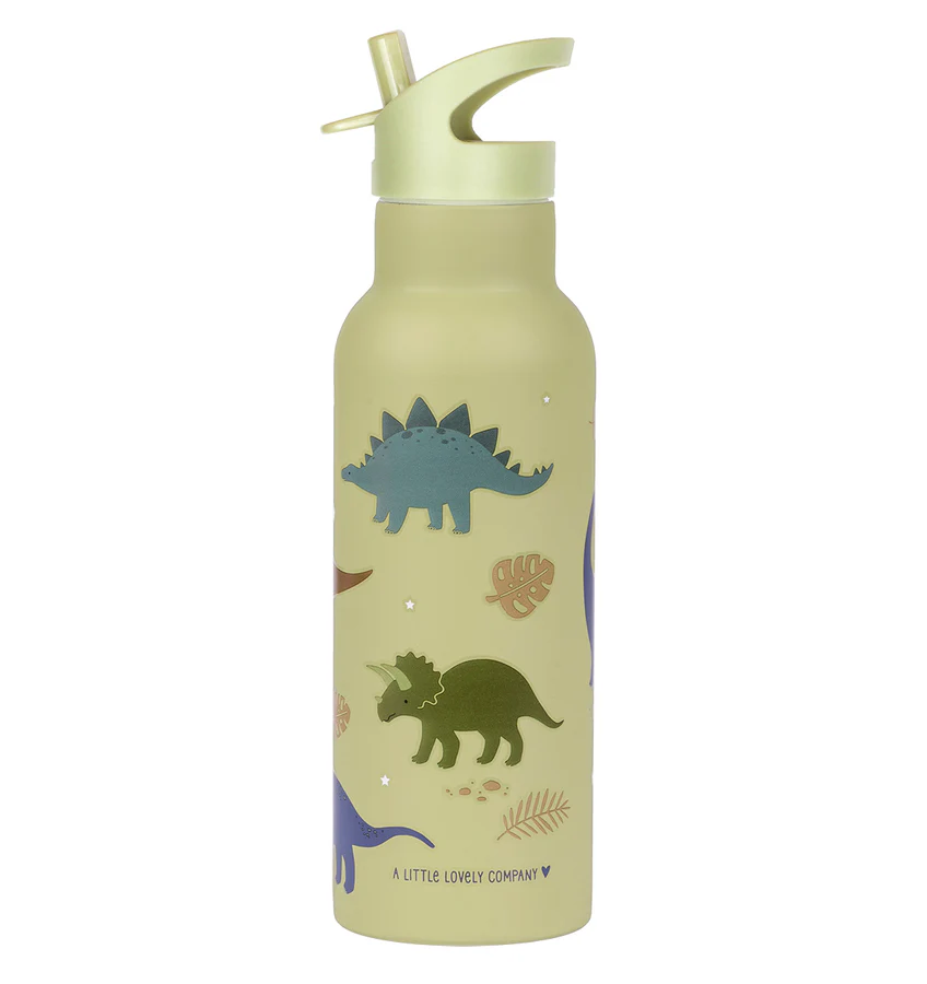 XL RVS Drinkfles Dinosaurussen afbeelding