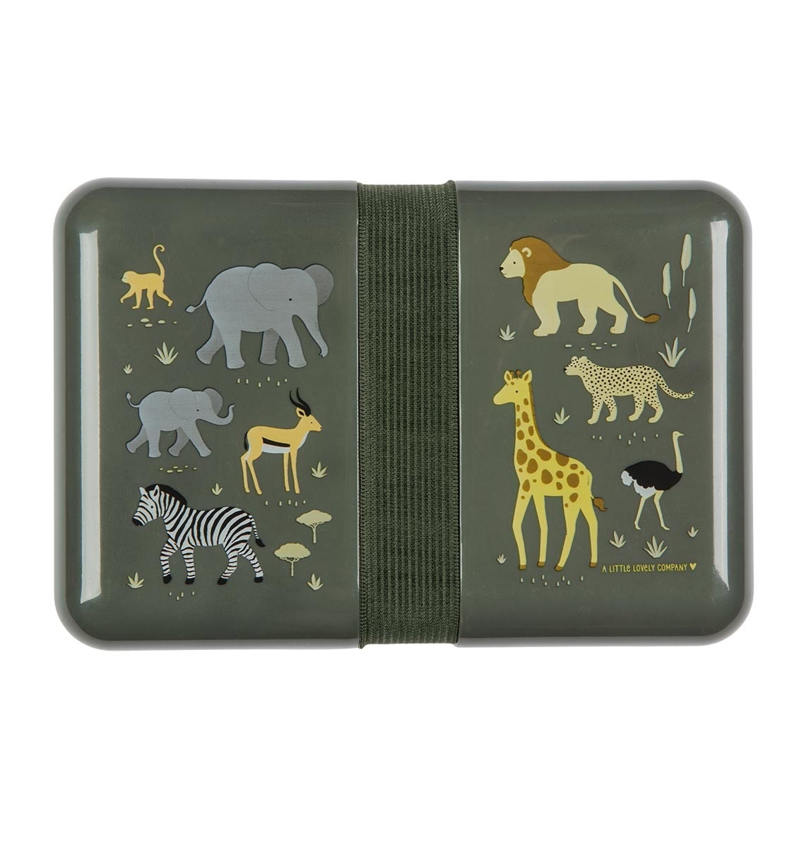 Lunch box Savanne afbeelding